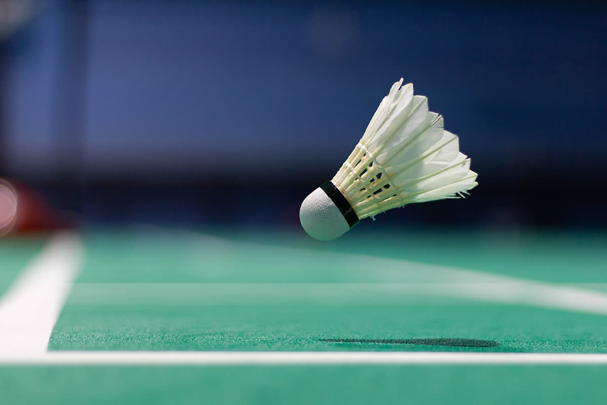 What Are Badminton Shuttlecocks Made of