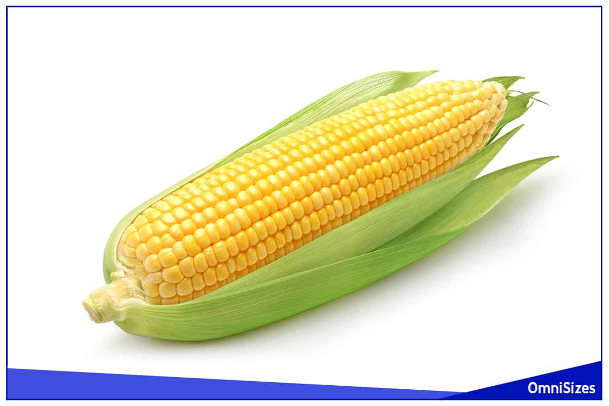 Ear of Corn