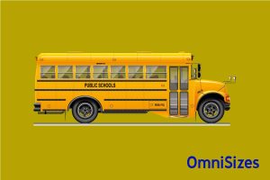 School Bus Sizes