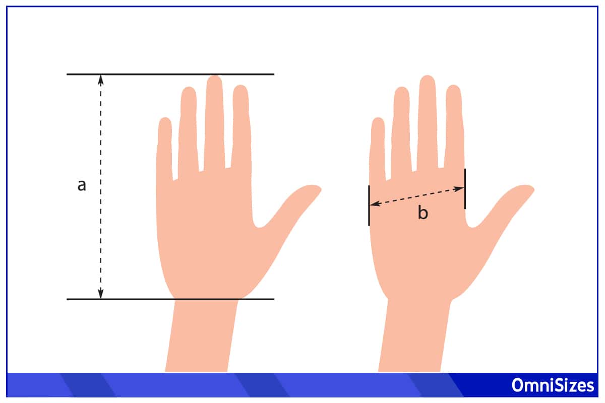 Average hand size
