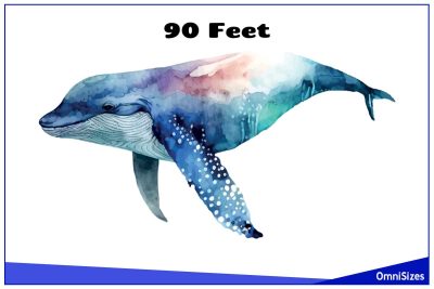 Things That Are 90 Feet Long or Tall