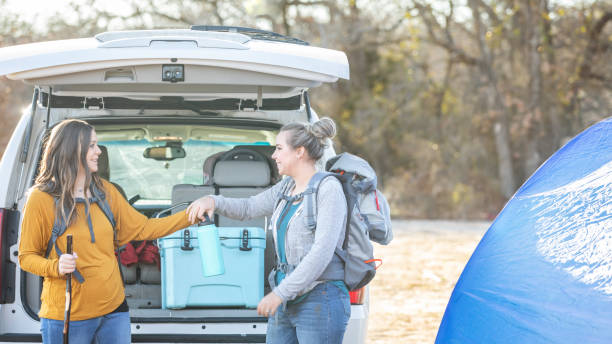 Perfect Companion for Camping Trips