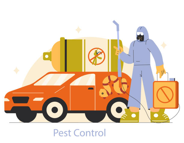 Professional Pest Removal Services