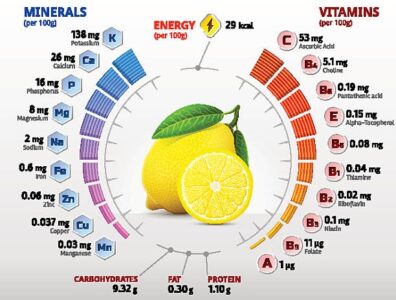 How Lemon Maximizes Bone Broth’s NutritionalValue