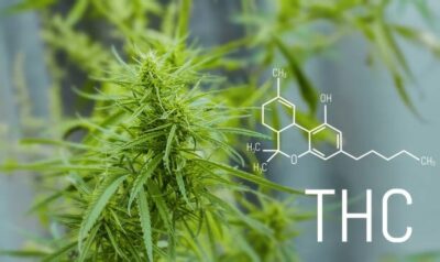The Science Behind THCA Flower