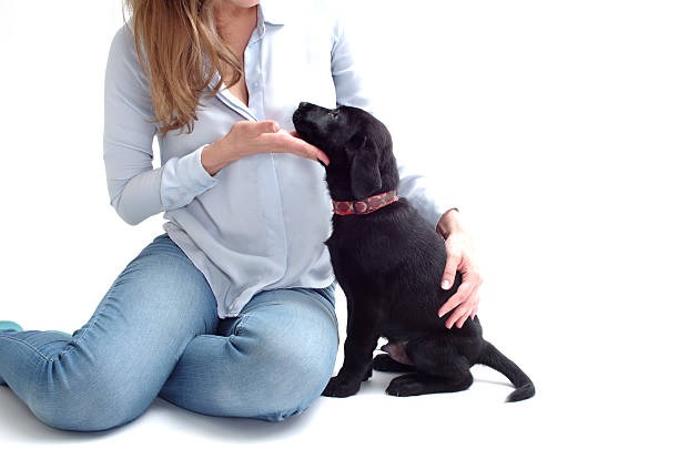 Raise a Calm, Confident Puppy