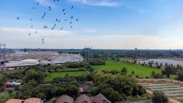 Eco-Conscious Bird Management Solutions