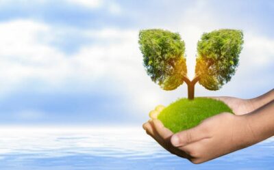 Sustainable Investments