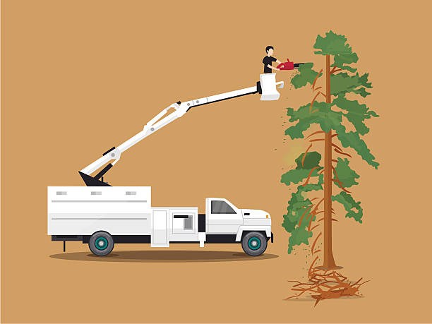 Industrial Flatbed Cutters