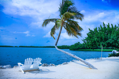 Exceptional Vacation Packages