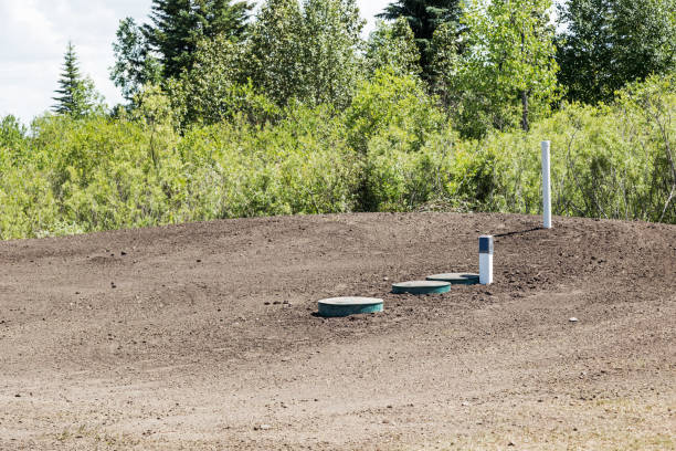 Common Signs Your Septic