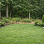 How to Make Your Yard Less Hospitable to Ticks:
