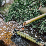 Prevent Yard Flooding and Basement Water